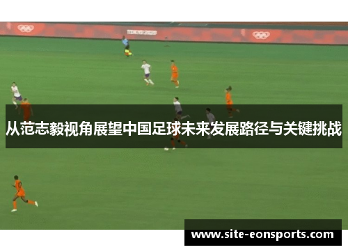 从范志毅视角展望中国足球未来发展路径与关键挑战