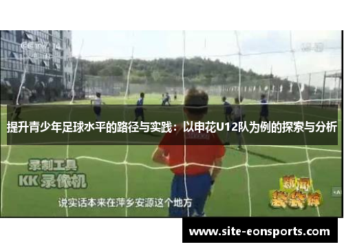 提升青少年足球水平的路径与实践：以申花U12队为例的探索与分析