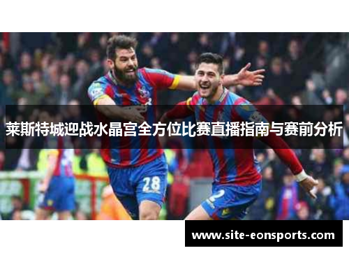 莱斯特城迎战水晶宫全方位比赛直播指南与赛前分析