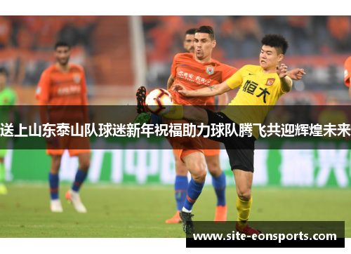 送上山东泰山队球迷新年祝福助力球队腾飞共迎辉煌未来